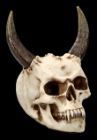 Lebka MARKUS MAYER Horned skull  