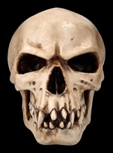 Lebka MARKUS MAYER Orc skull