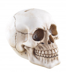 Pokladnička White Skull