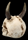 Lebka MARKUS MAYER Horned skull  