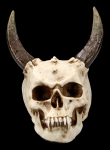 Lebka MARKUS MAYER Horned skull  